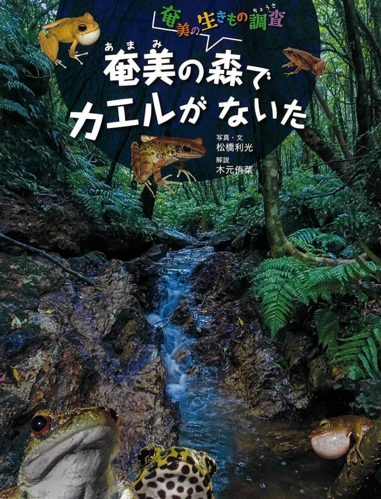 絵本「奄美の森でカエルがないた」の表紙（詳細確認用）（中サイズ）