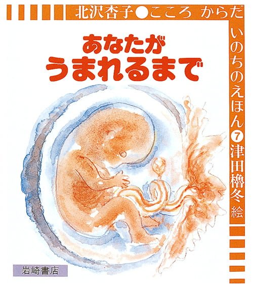 絵本「あなたがうまれるまで」の表紙（詳細確認用）（中サイズ）