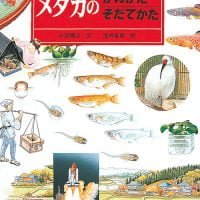 絵本「メダカのかいかたそだてかた」の表紙