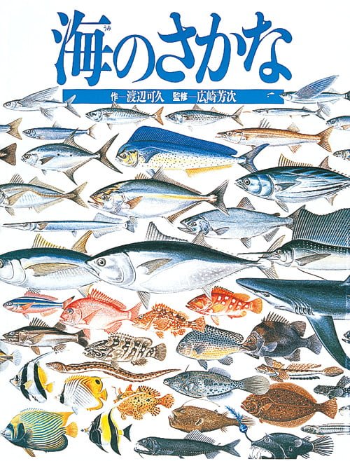 絵本「海のさかな」の表紙（詳細確認用）（中サイズ）