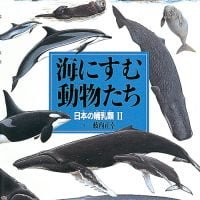 絵本「海にすむ動物たち」の表紙（サムネイル）