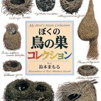 絵本「ぼくの鳥の巣コレクション」の表紙（サムネイル）