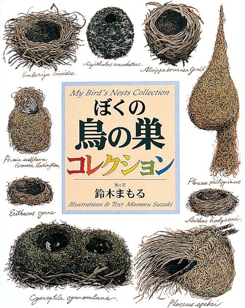 絵本「ぼくの鳥の巣コレクション」の表紙（詳細確認用）（中サイズ）