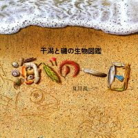 絵本「海べの一日」の表紙（サムネイル）