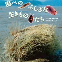 絵本「海べのふしぎな生きものたち」の表紙（サムネイル）