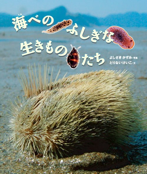 絵本「海べのふしぎな生きものたち」の表紙（詳細確認用）（中サイズ）