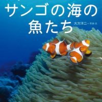 絵本「クマノミとサンゴの海の魚たち」の表紙（サムネイル）