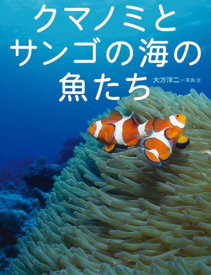 絵本「クマノミとサンゴの海の魚たち」の表紙（詳細確認用）（中サイズ）