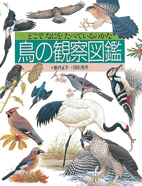 絵本「鳥の観察図鑑」の表紙（大サイズ）