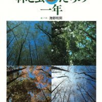 絵本「林と虫たちの一年」の表紙