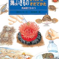 絵本 海のいきものかいかたそだてかた の内容紹介 あらすじ 絵本屋ピクトブック