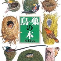 絵本「鳥の巣の本」の表紙（サムネイル）