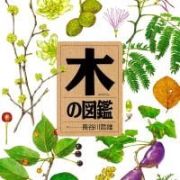 絵本「木の図鑑」の表紙（サムネイル）