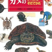 絵本「カメのかいかたそだてかた」の表紙（サムネイル）