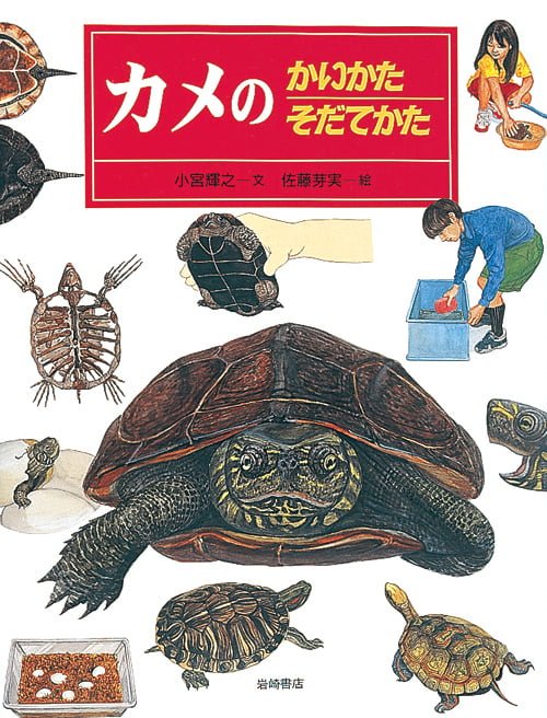 絵本「カメのかいかたそだてかた」の表紙（詳細確認用）（中サイズ）