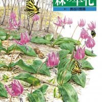 絵本「森の草花」の表紙（サムネイル）