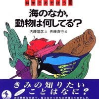 絵本「海のなか、動物は何してる？」の表紙（サムネイル）