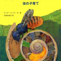 絵本「巣をつくる あなをほる」の表紙（サムネイル）