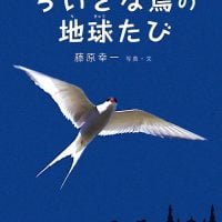 絵本「ちいさな鳥の地球たび」の表紙（サムネイル）