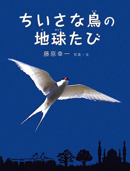 絵本「ちいさな鳥の地球たび」の表紙（詳細確認用）（中サイズ）