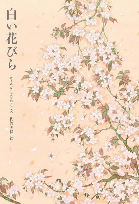 絵本「白い花びら」の表紙（全体把握用）（中サイズ）