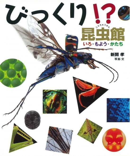 絵本「びっくり！？昆虫館」の表紙（全体把握用）（中サイズ）