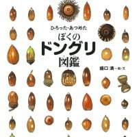 絵本「ひろった・あつめた ぼくのドングリ図鑑」の表紙（サムネイル）