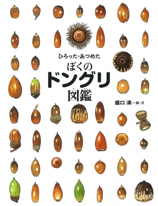 絵本「ひろった・あつめた ぼくのドングリ図鑑」の表紙（全体把握用）（中サイズ）