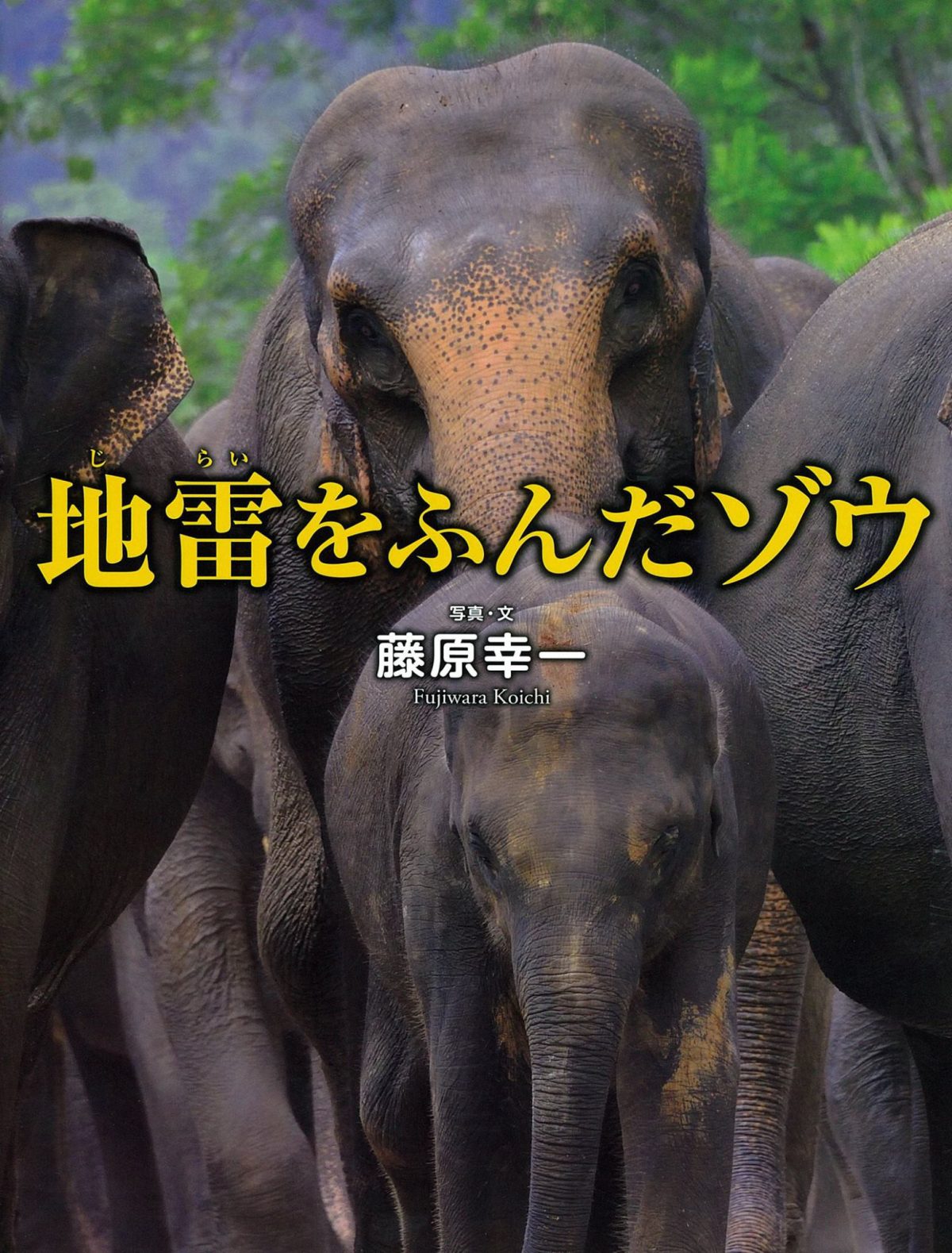 絵本「地雷をふんだゾウ」の表紙（大サイズ）
