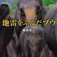 絵本「地雷をふんだゾウ」の表紙（サムネイル）