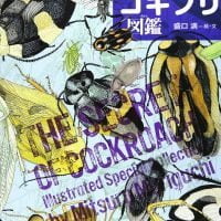 絵本「くらべた・しらべた ひみつのゴキブリ図鑑」の表紙（サムネイル）