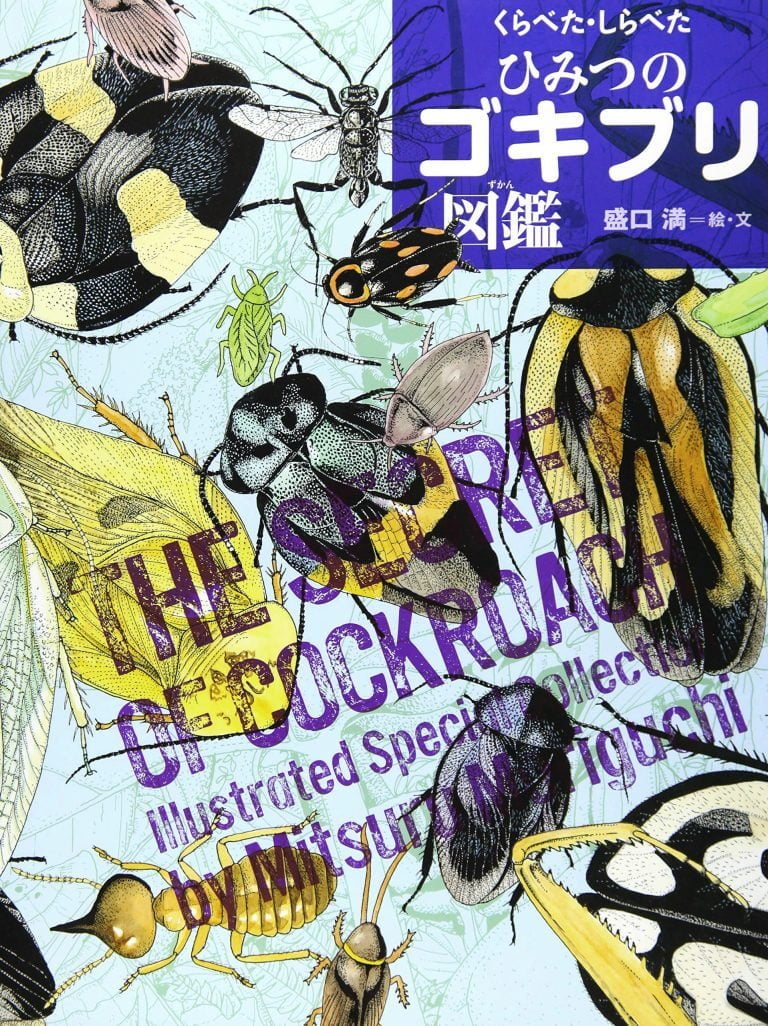 絵本「くらべた・しらべた ひみつのゴキブリ図鑑」の表紙（詳細確認用）（中サイズ）