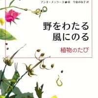 絵本「野をわたる 風にのる」の表紙（サムネイル）