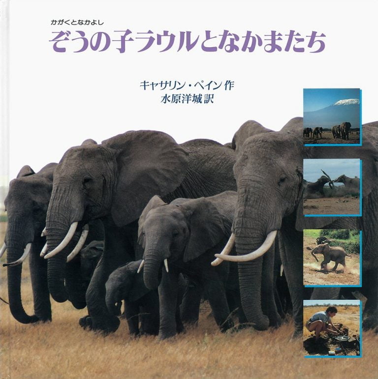 絵本「ぞうの子ラウルとなかまたち」の表紙（詳細確認用）（中サイズ）