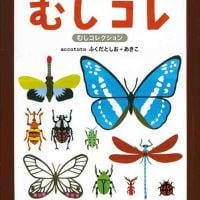 絵本「むしコレ」の表紙（サムネイル）