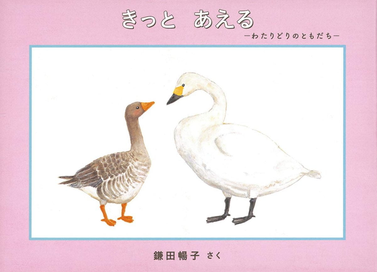絵本「きっと あえる」の表紙（大サイズ）