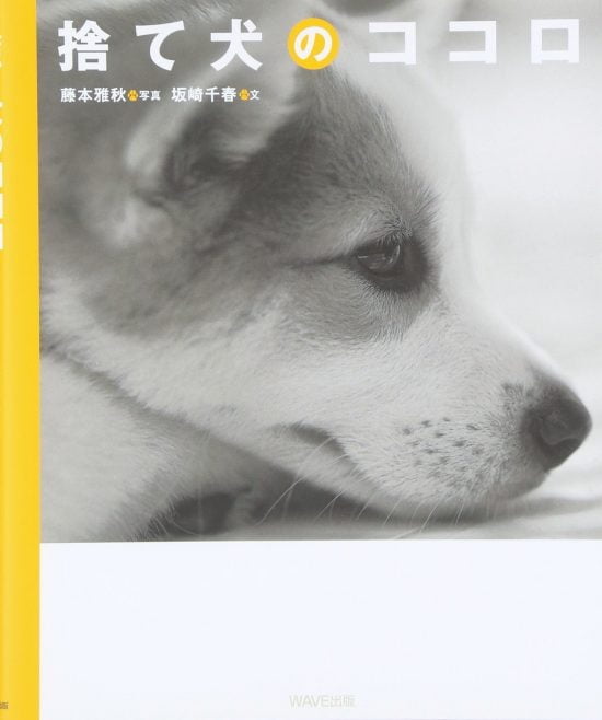 絵本「捨て犬のココロ」の表紙（全体把握用）（中サイズ）