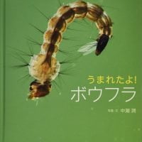 絵本「うまれたよ！ ボウフラ」の表紙（サムネイル）