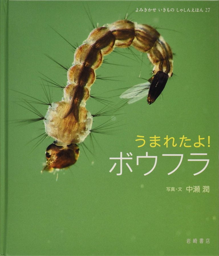 絵本「うまれたよ！ ボウフラ」の表紙（詳細確認用）（中サイズ）