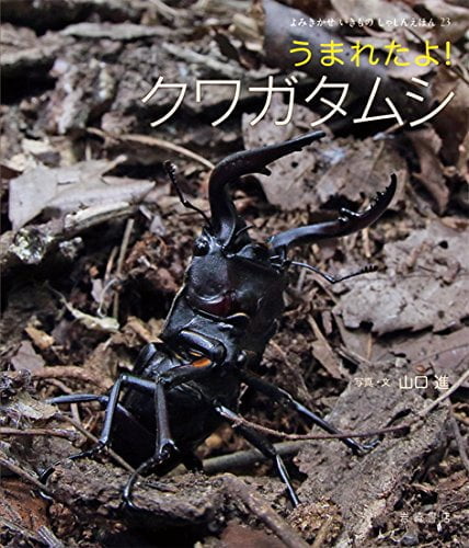 絵本「うまれたよ！ クワガタムシ」の表紙（詳細確認用）（中サイズ）