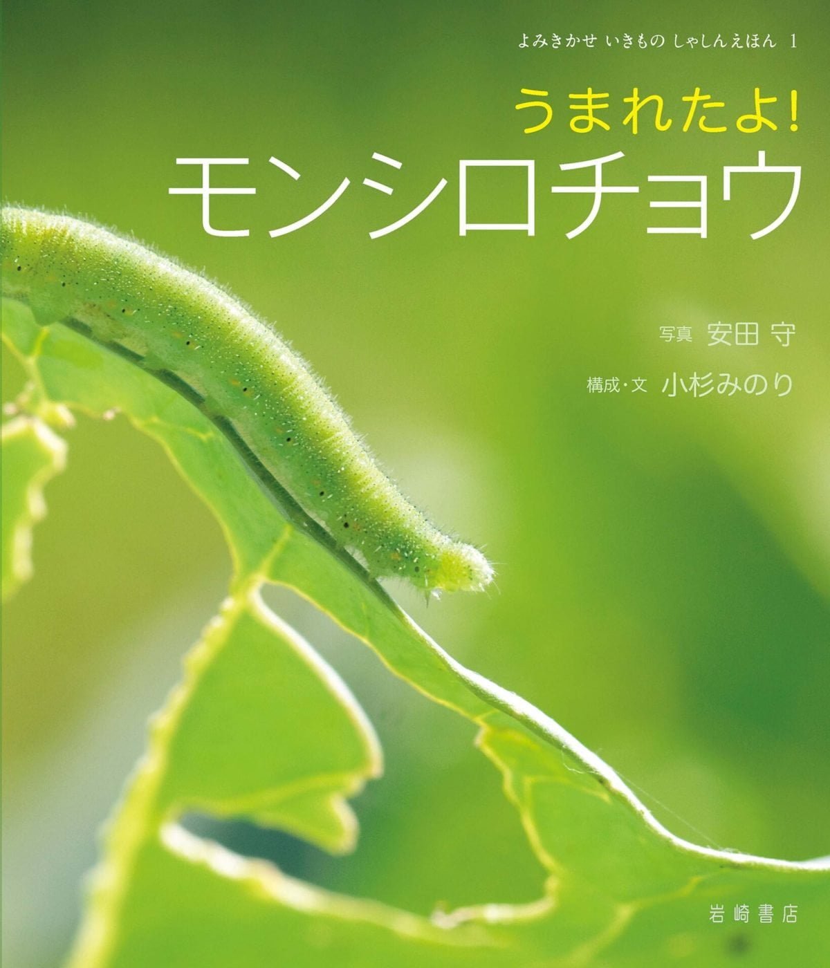 絵本「うまれたよ！ モンシロチョウ」の表紙（大サイズ）