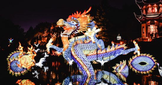 ドラゴンが登場するおすすめ絵本特集 絵本屋ピクトブック