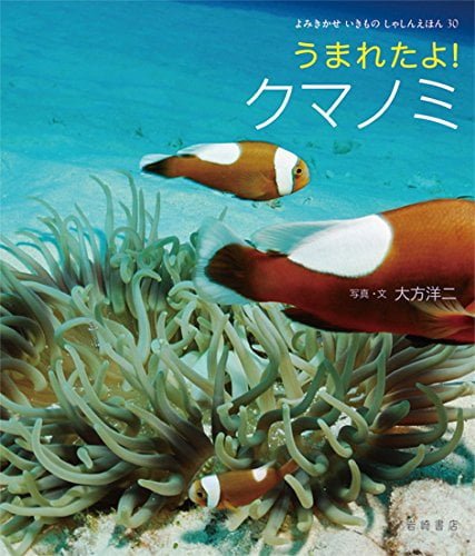 絵本「うまれたよ！ クマノミ」の表紙（詳細確認用）（中サイズ）