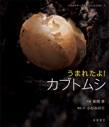 絵本「うまれたよ！ カブトムシ」の表紙（詳細確認用）（中サイズ）