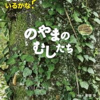 絵本「どこにいるかな？ のやまのむしたち」の表紙（サムネイル）