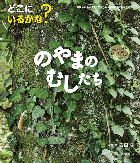 絵本「どこにいるかな？ のやまのむしたち」の表紙（詳細確認用）（中サイズ）