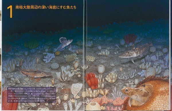 絵本「南極のさかな大図鑑」の一コマ