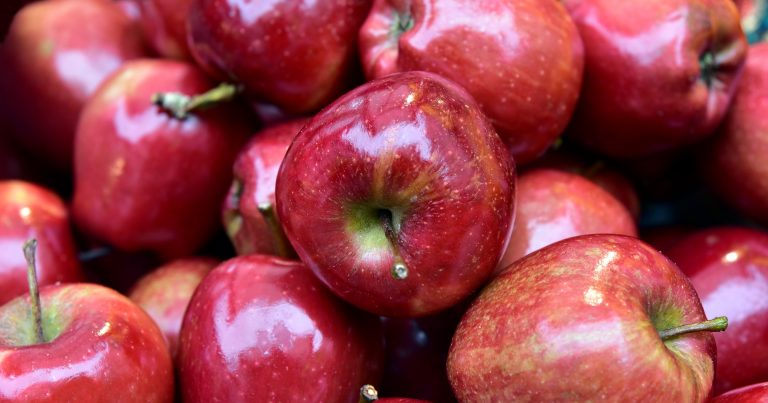 リンゴの絵本特集 絵本屋ピクトブック