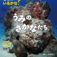 絵本「どこにいるかな？ うみのさかなたち」の表紙（サムネイル）