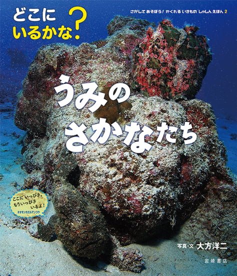 絵本「どこにいるかな？ うみのさかなたち」の表紙（詳細確認用）（中サイズ）